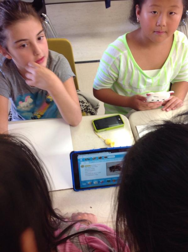 KirkbyClass's tweet photo. Capping off our inquiry by reading a bee story & summarizing it into our own words #alwaysbeelearning #peel21st http://t.co/GuM0IeNgqL