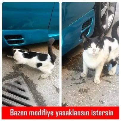 AkGuLErDaL's tweet photo. Bazen modifiye yasaklansın istersin :) #ModifyTeam http://t.co/BltZ80L3Cy