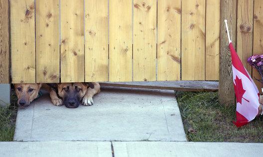 Brian C. Mayer tweet media