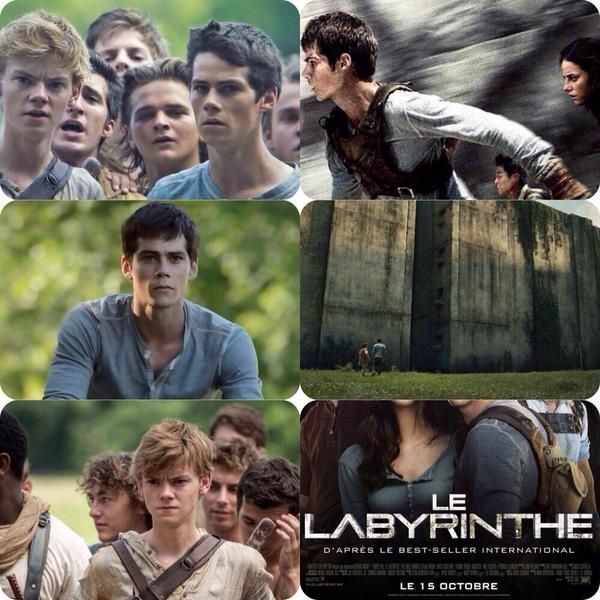 Florian_Vinatos's tweet photo. #NW #LeLabyrinthe #TheMazeRunner #Cinema #DanielOBrien #WillPoulter #BestSeller @20thCFox_FR http://t.co/7VOtAUXBDG