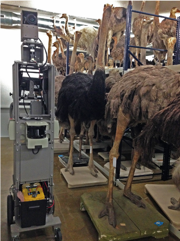 schilthuizen's tweet image. We got GoogleStViewed! The inside of Museum Naturalis soon to be viewed on Google Streetview google.com/culturalinstit…