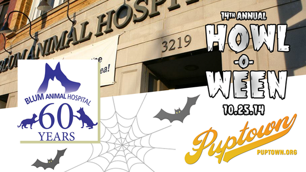 Puptown_DFA's tweet photo. 1st Place prize for Best Homemade Costume at @Puptown_DFA's Howl-O-Ween SAT is $100 gift certificate from @Blumvet http://t.co/ovkMYpvTRz