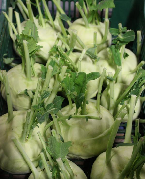 UK KHOLRABI great steamed, stir-fried, added to soups &amp; stews or dipped in batter &amp; fried to make tempura or fritters