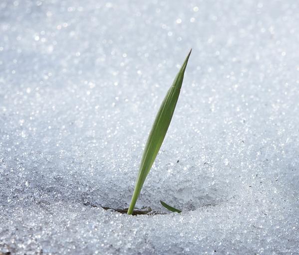 citywidekc's tweet image. We are ramping up for #winter - changing out our #services for the season. #SeasonalServices