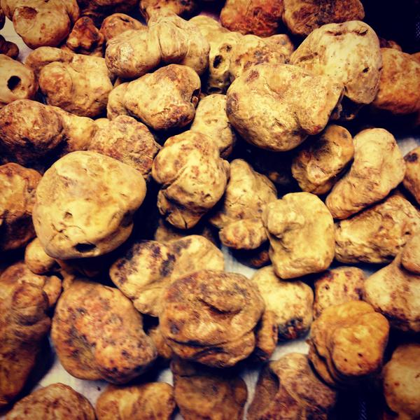 Everest_Chicago's tweet photo. 5 lbs. more of #whitetruffles for the weekend. #trufflegram #truffleseason http://t.co/XNUISCcQtx
