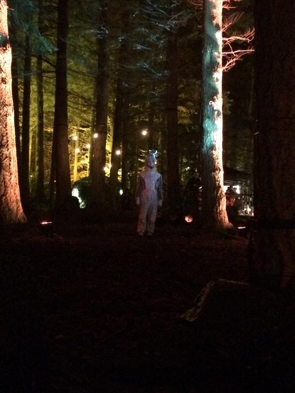 McClymontStew's tweet image. Saw an alien tonight! #enchantedforrest