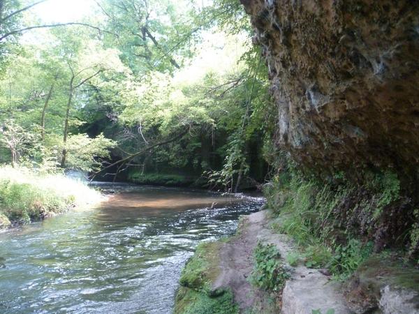 PetitRmy1's tweet photo. Our reply to a skeptic regarding a beech glacial refugium near Bordeaux. #biogeco  http://t.co/SzphVUnbDj http://t.co/0YmvQaG61q
