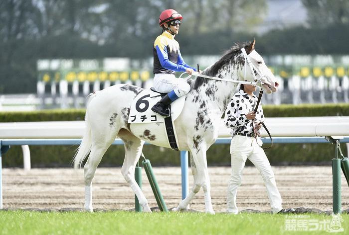 競馬ラボ on X: 