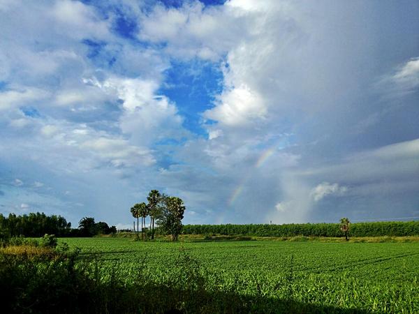 NVallangi's tweet image. Well hello Rainbow from the Road!