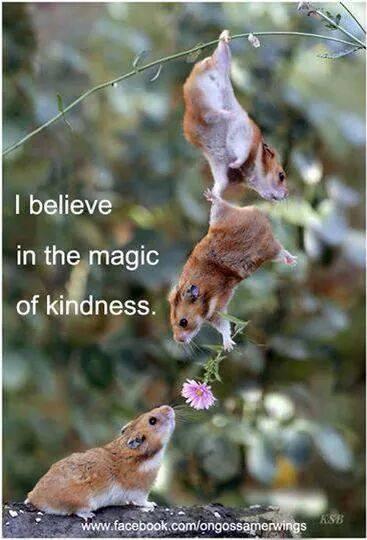 feelmoreIT's tweet photo. “@RvSchalkwyk: #MagicofKindness.. #payitforward http://t.co/fWcftk42wu” 😊🌺