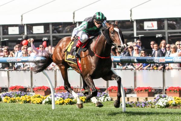 Cracking shot of Hooked in full flight at #MooneeValley 

RT If you followed me in on him!