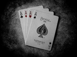 MagicStadio tweet picture
