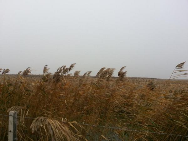 feeling # (@jsoondu) on Twitter photo 