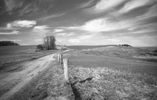 Fomapan tweet media