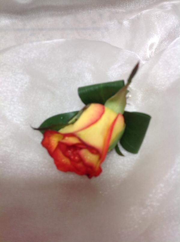 StudleyFlorist's tweet photo. Autumn wedding 🍁🍃🍂 http://t.co/MMInlgxadb