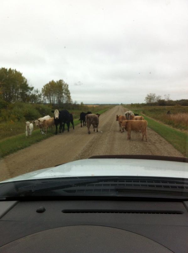 plaxiglass17's tweet photo. #countyproblems http://t.co/ZeJLt2bX91