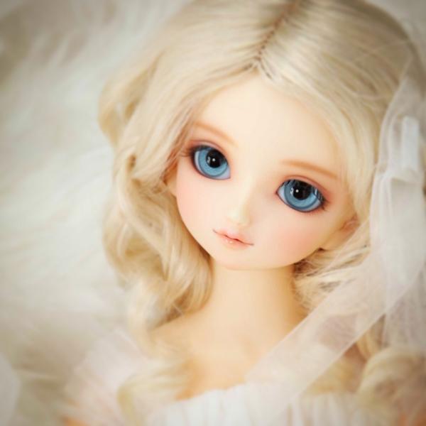 スーパードルフィー　sdm　白蓮 SDMコーディネートモデル白蓮♀をお迎えしました(・∀・)の巻