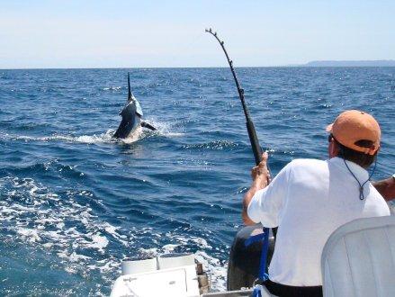 LoveSeaFishing's tweet photo. The beautiful sport in action! http://t.co/TATwWHYnhE