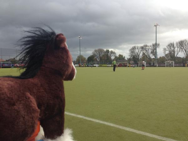 BPHCL2s's tweet photo. Sparkles enjoying the @BMUHC1s v @SurbitonHC game at @BrooklandsHC. Love a bit of @cheshirelife us girls! http://t.co/jmyzZFpUKW