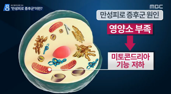 mbcnews's tweet photo. [뉴스데스크-잘 쉬어도 안 풀리는 '만성피로'…이겨내려면 이렇게] 피로감이 6개월이상 지속되면 '만성피로'라 할 수 있어. 하루 30분이상 유산소운동 해 주는 것이 좋아.http://t.co/FbhNWQ4R8G http://t.co/yNHZihKd7J
