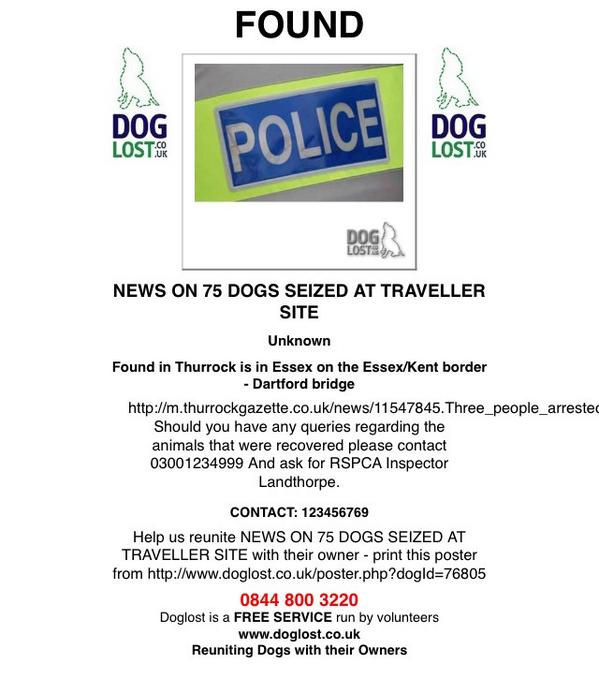 pawsbuddy's tweet photo. Great work @DoglostUK! Hope they can all be reunited or rehomed... http://t.co/BoAECQLkvB