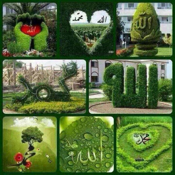naser_alem's tweet photo. http://t.co/EvNaHCnLd6