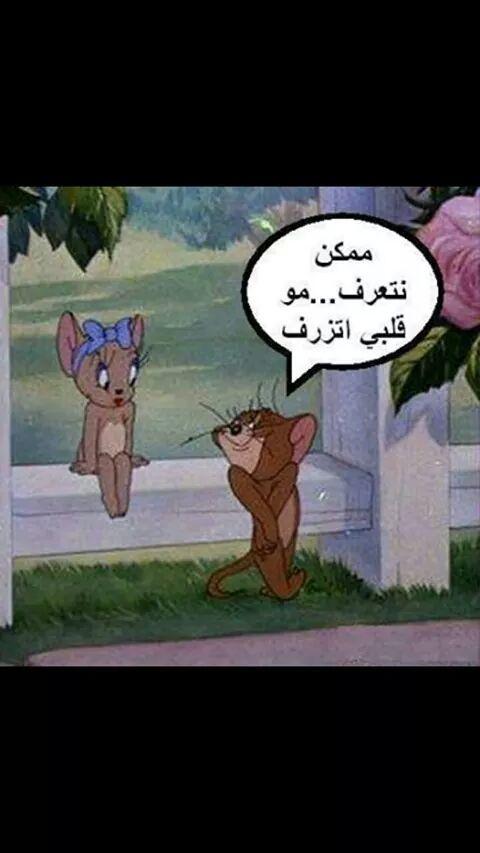 alshwei tweet picture