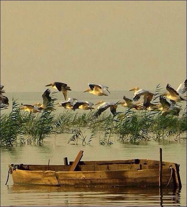 Sancta Lucia, Sancta Lucia...