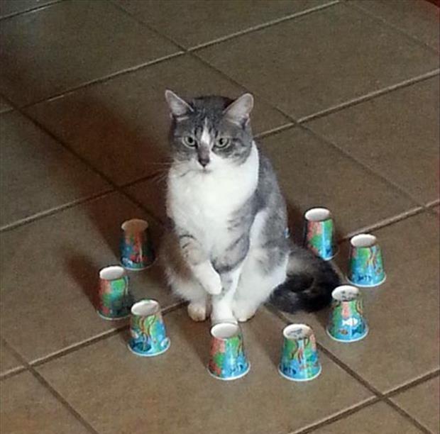 View image on Twitter