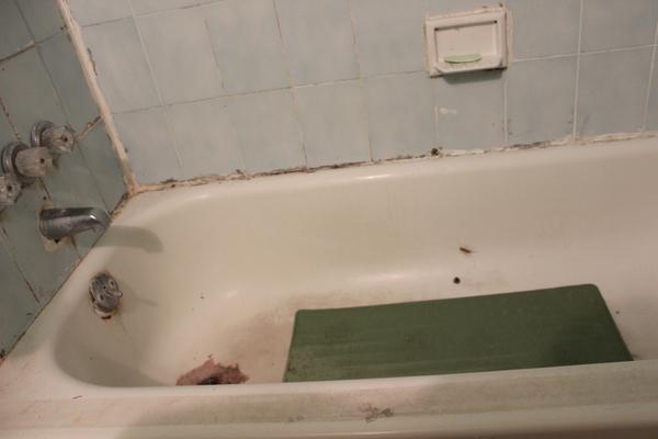 Usa, airbnb, 2014 szeptember