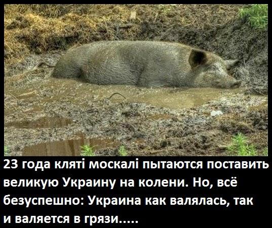 23 роки непохитною стійкості ...