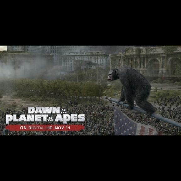 ape_rocket's tweet image. Soon apes on DVD!