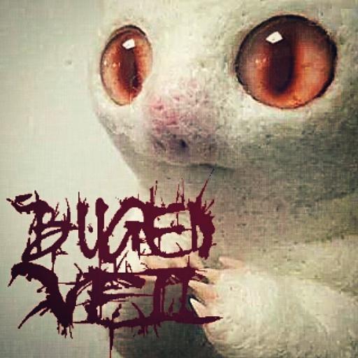 How Are You Todays !!!!!