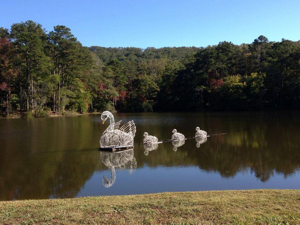 CallawayGardens's tweet image. The Swans are on the Lake! Like us they're almost ready for Fantasy In Lights.Get your tix now callawaygardens.com/events/signatu…