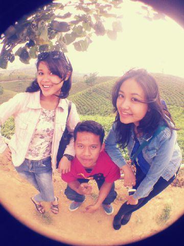 TesalonikaNabel's tweet photo. Kemuning juga :-) http://t.co/KPIIag8pz5