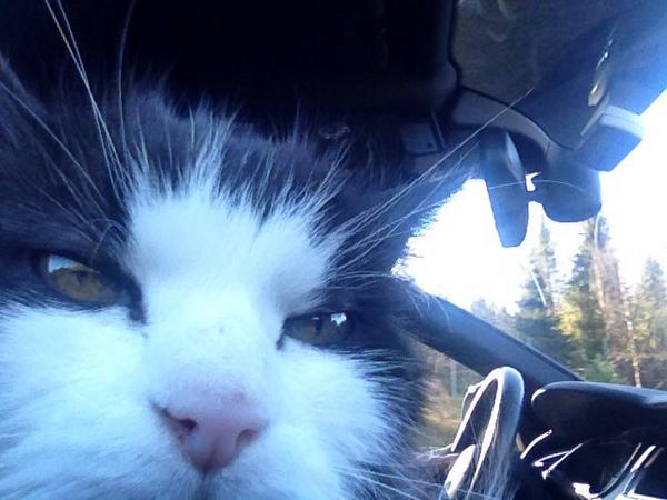 3ippi's tweet image. Out &amp;amp; about today