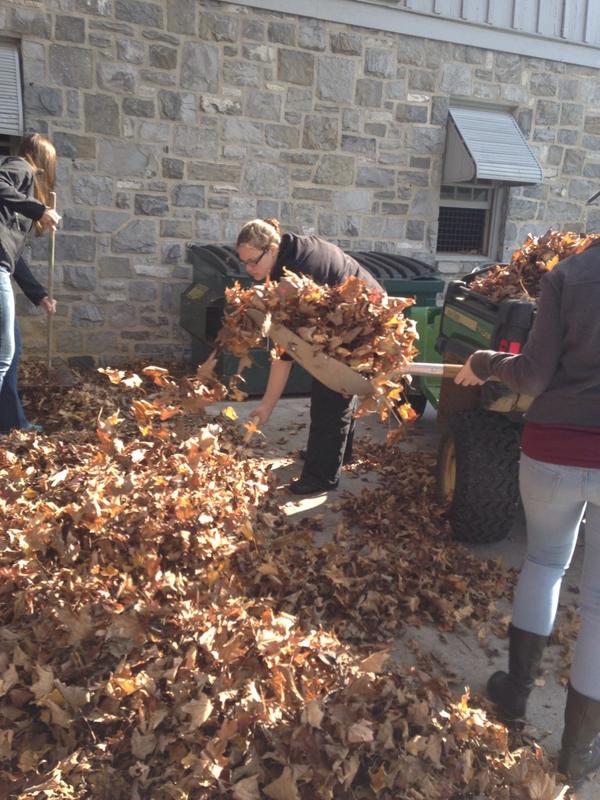 CEC members volunteering at greystone therapeutic riding center for #etownintothestreets !