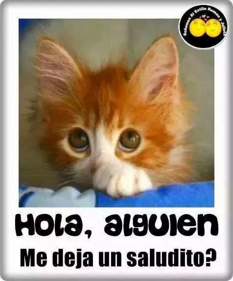 marblancblanco's tweet image. 