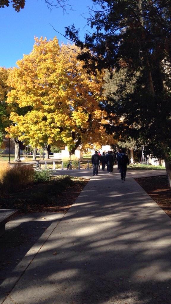 CoachDSanders's tweet photo. #UtahStateFootball #PreGameWalk #BeautifulCampus http://t.co/LAIrsAsRrX