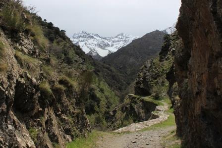 Próximo día 2 de noviembre salida de senderismo.
Lugar: Vereda de la estrella (Granada).
Precio: Consultar Facebook