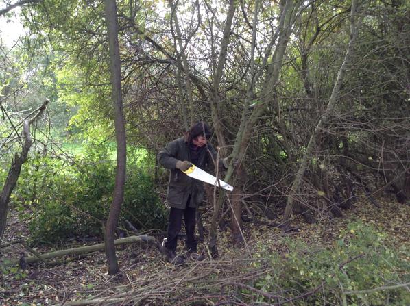 PrebendalManor's tweet photo. #prebendalmanor we are now closed for the winter but working hard on garden clearance especially the hedge. http://t.co/leEDFPtpiY