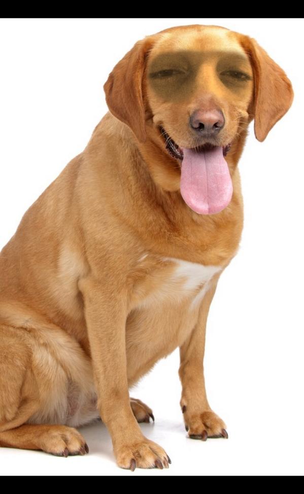 _mostdoper's tweet image. Fuck you