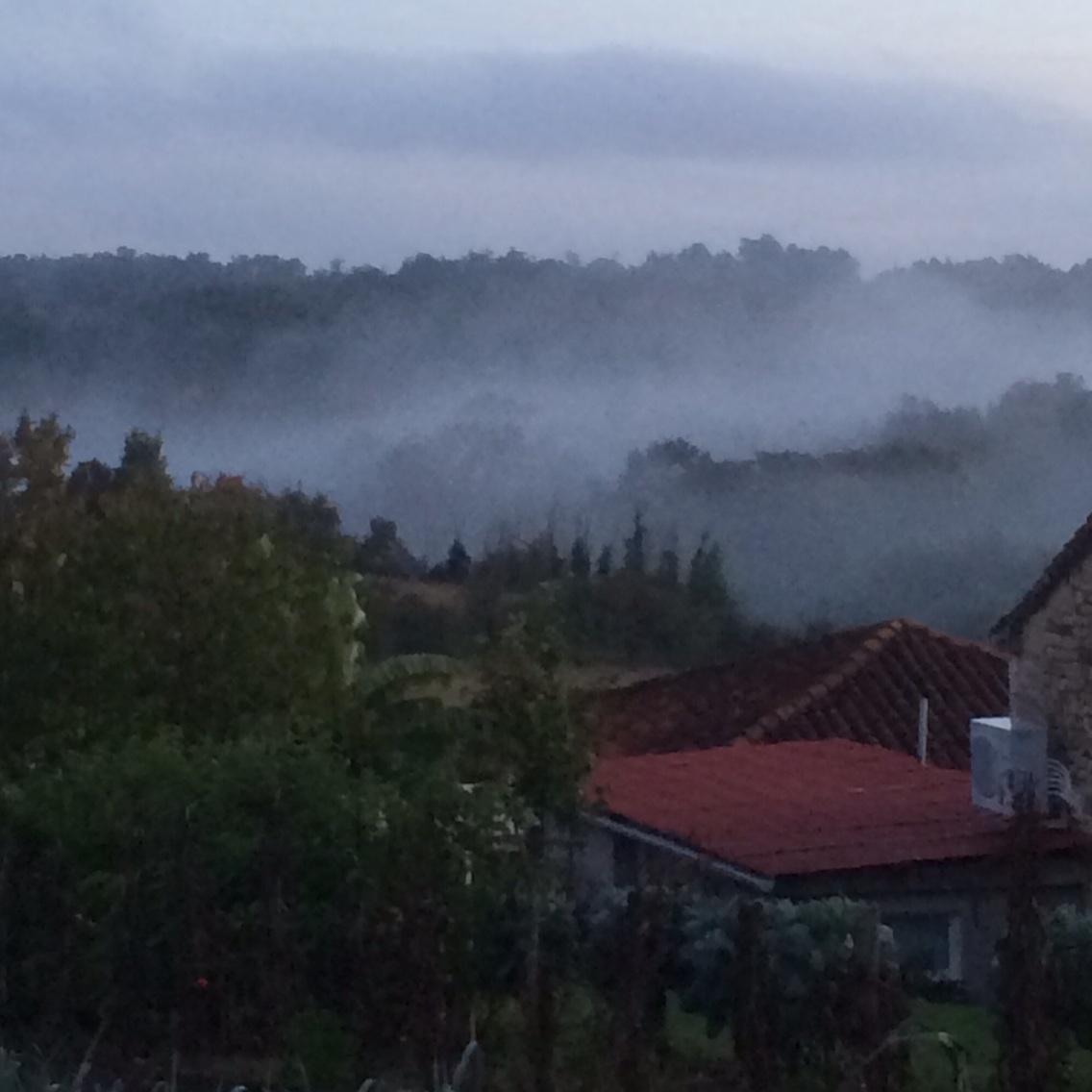 Another beautiful morning in France, inspiring. #lulupix2 <a href="/snapandstir/">snap+stir</a>