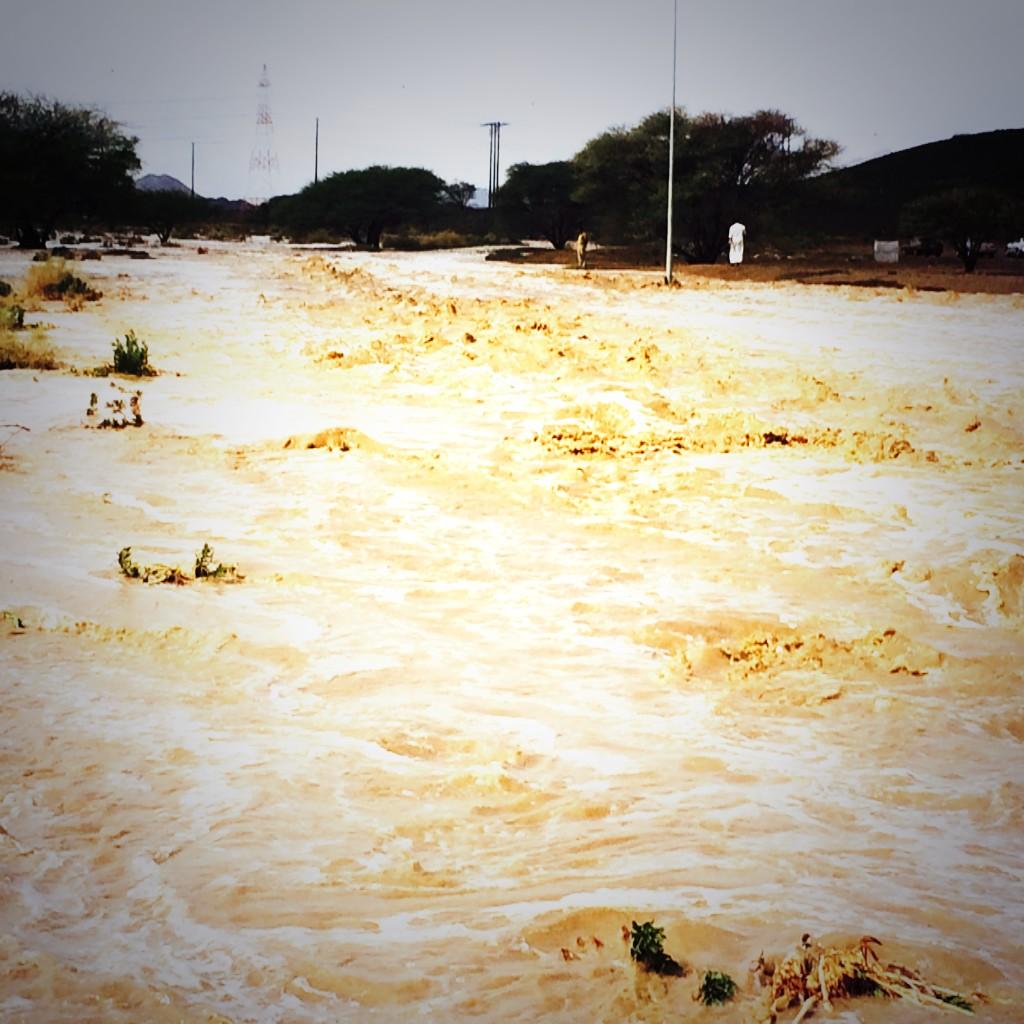 hamaod84's tweet photo. امطار قرية مسيال السدر (وادي الجزي) تصويري hamaod84 http://t.co/agL0voWrf6