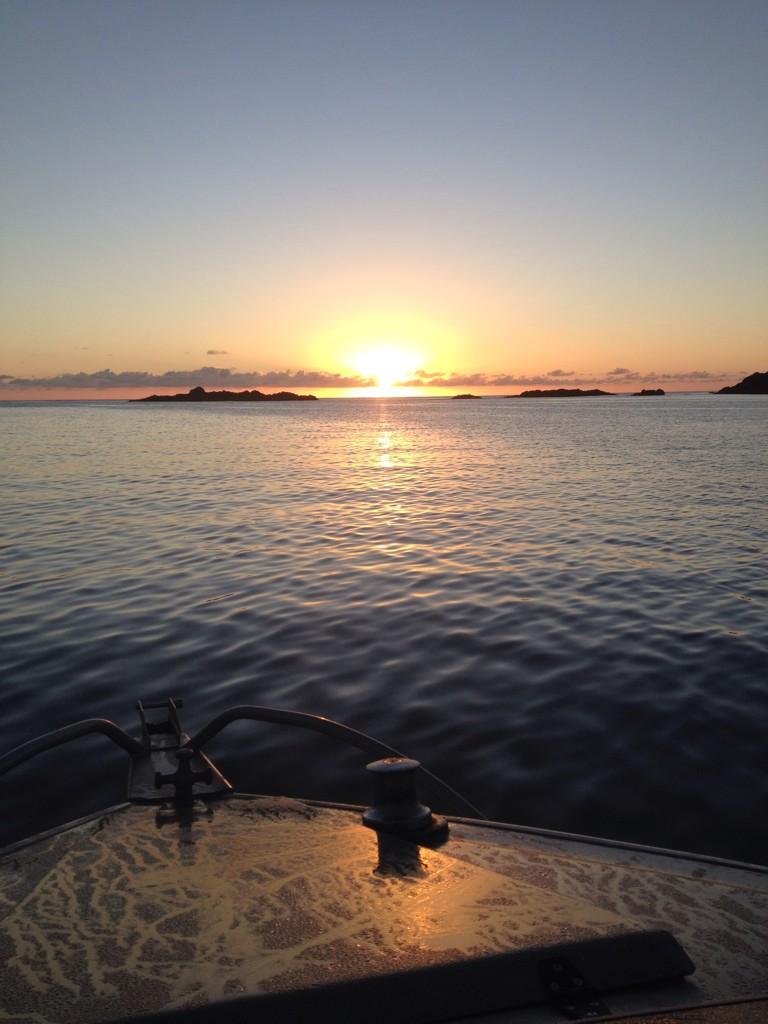 Great fun with the early mornings this weekend up in Ngunguru! Pity about my fishing