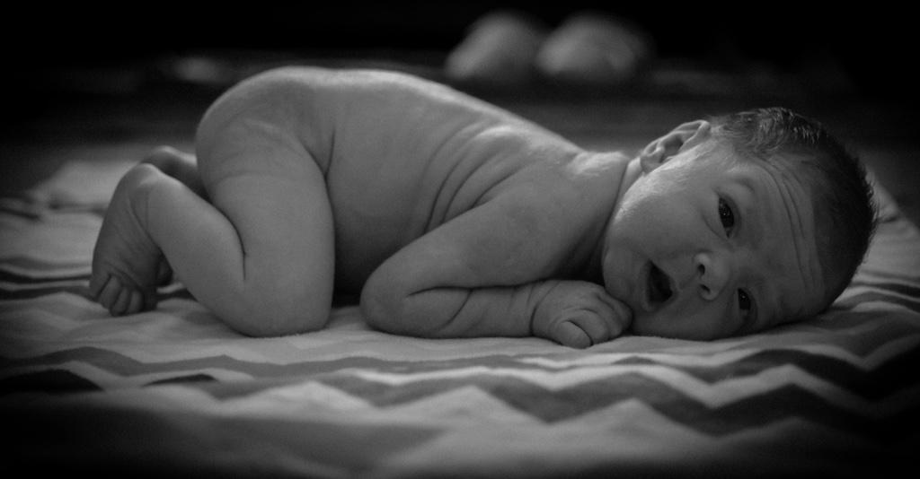 PicByChuck's tweet photo. Newborns http://t.co/ewvfifyGb2