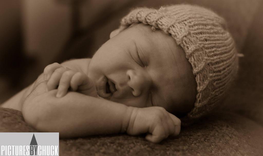 PicByChuck's tweet photo. Newborns http://t.co/ewvfifyGb2