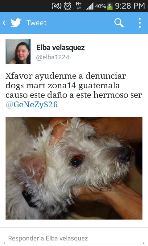 GeNeZyS26's tweet photo. Aunque estemos en México ayudenme a RT/apoyar a esta chica #EstoyCansado #estdel maltrato animal @la_woodra @alejvaz http://t.co/TYkRZylfoA