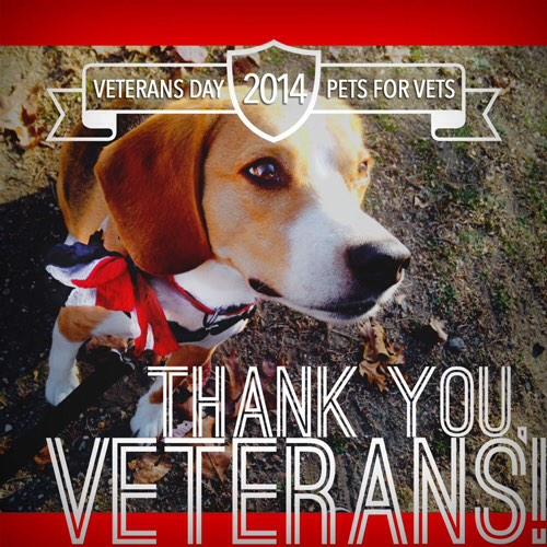 #PetsForVetsNYCLI will be at @brooklynpublic Mon for 'Saluting Our Veterans'! #VeteransDayNYC bklynlibrary.org/calendar/salut…