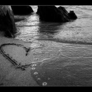 algabbl tweet picture